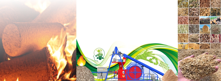 waste to energy india